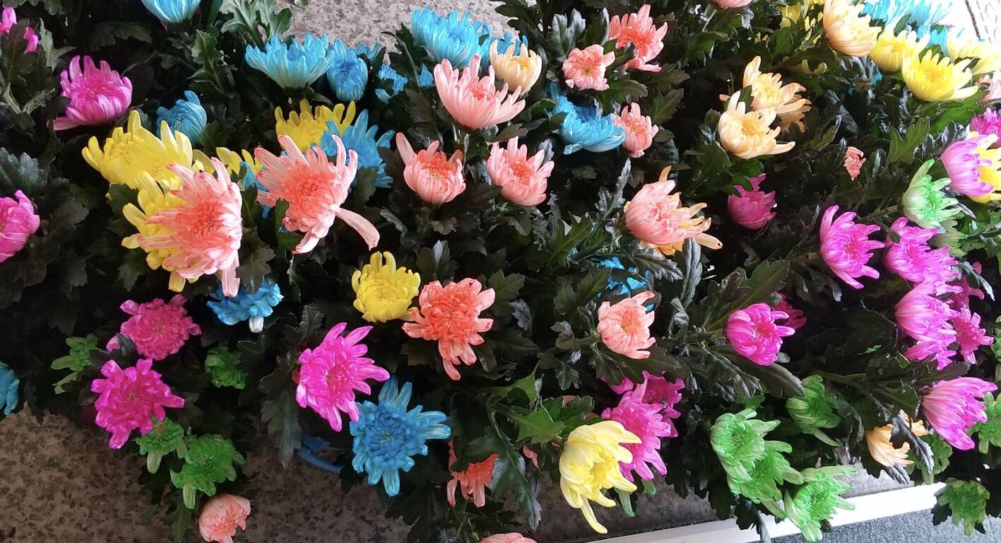染色に適さないお花とは トルコキキョウなど茎が硬いものはちょっと オリジナルカラーな切り花をお届け アートフラワーカメレオン 染色に適さないお花とは トルコキキョウなど茎が硬いものはちょっと オリジナルカラーな切り花をお届け アートフラワーカメレオン