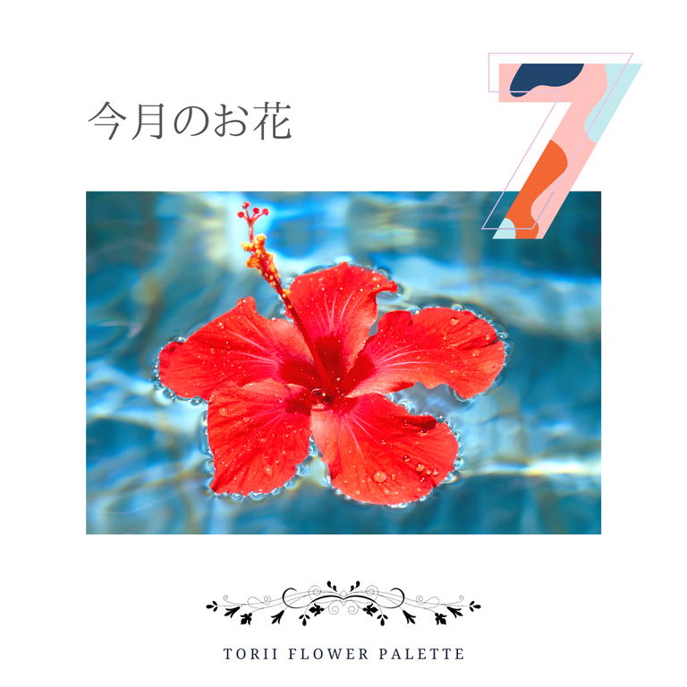 今月のあいちの花 7月 ハイビスカス オリジナルカラーな切り花をお届け アートフラワーカメレオン 今月のあいちの花 7月 ハイビスカス オリジナルカラーな切り花をお届け アートフラワーカメレオン