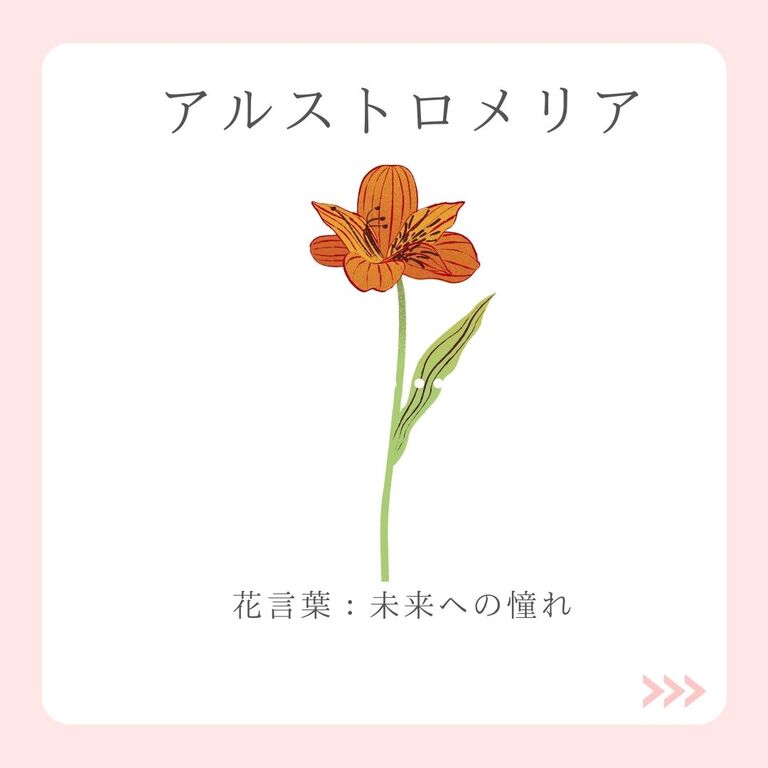 今月のあいちの花 ４月 アルストロメリア オリジナルカラーな切り花をお届け アートフラワーカメレオン