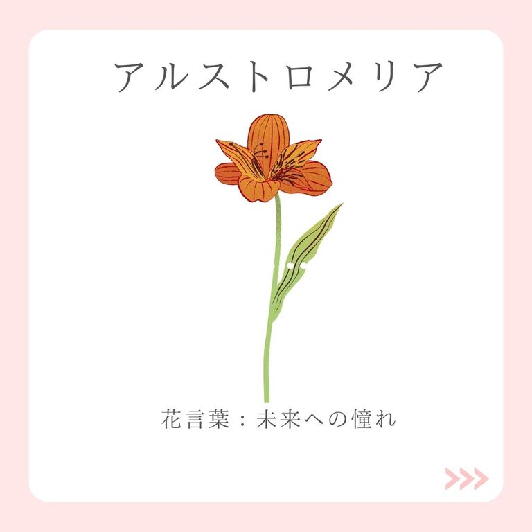 今月のあいちの花 4月 アルストロメリア オリジナルカラーな切り花をお届け アートフラワーカメレオン 今月のあいちの花 4月 アルストロメリア オリジナルカラーな切り花をお届け アートフラワーカメレオン