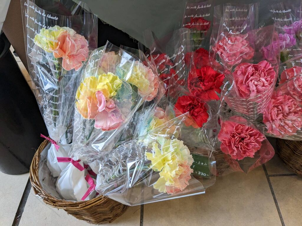 み。 今月のあいちの花 5月 カーネーション レインボー