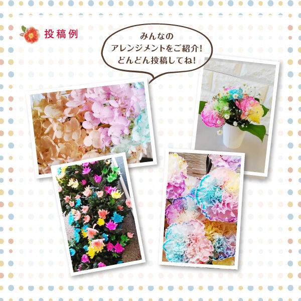 Instagramフォトコンテスト 染め花キャンペーンのお知らせ オリジナルカラーな切り花をお届け アートフラワーカメレオン Instagramフォトコンテスト 染め花キャンペーンのお知らせ オリジナルカラーな切り花をお届け アートフラワーカメレオン