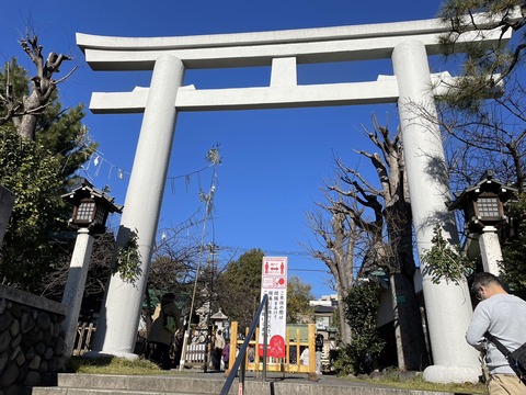 氷川神社 鳥居