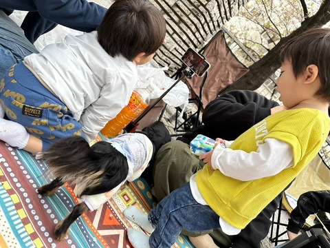 るいは動画に夢中