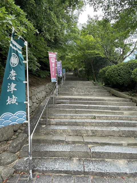 S__80150545