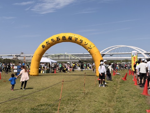 S__372539403_0
