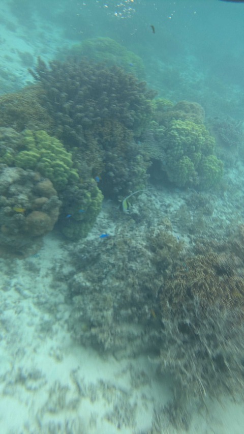 PXL_20251122_031545705