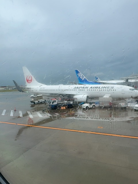 beauty_1729563622816