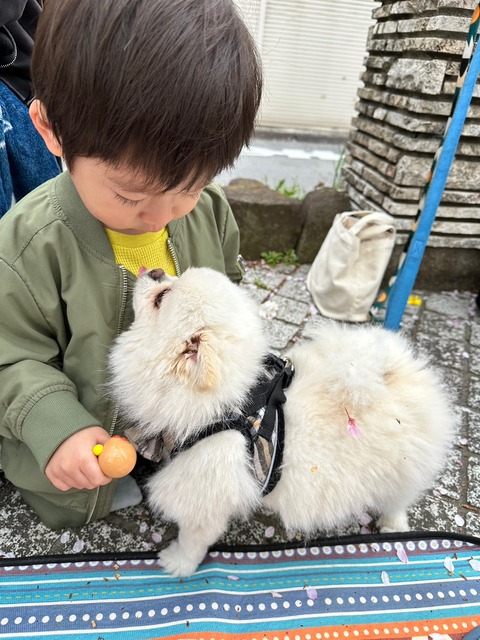 LINE_ALBUM_230403_13