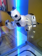 �����ܡ����ä������̾��AIBO�ߤ����ʥڥåȥ��ܡ����Ȥ⤢��