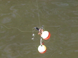 ROBOT Fishing rally 2006¸ͻ3פˤϥ1礬Ϳ륤2ǥ֥롼ɤʬ̤3ǥ֥åХ̤