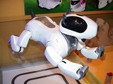 �����ܡ����ä��褦��̾��AIBO�ߤ����ʥڥåȥ��ܡ�ư�����ɤ��ä�