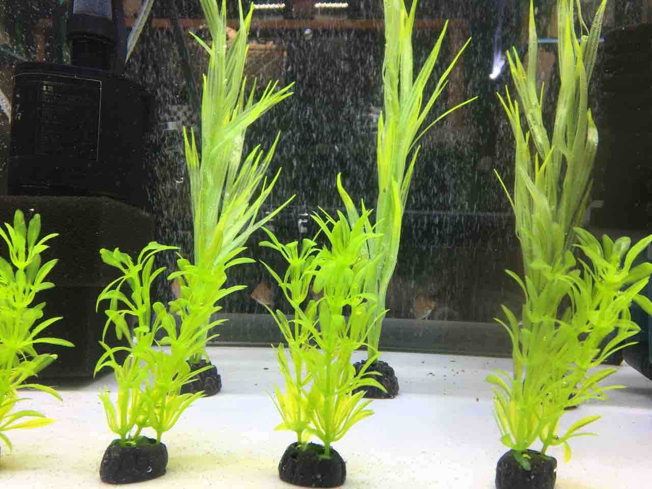 人工 水草 沢山買ってみた Mobi Aqua