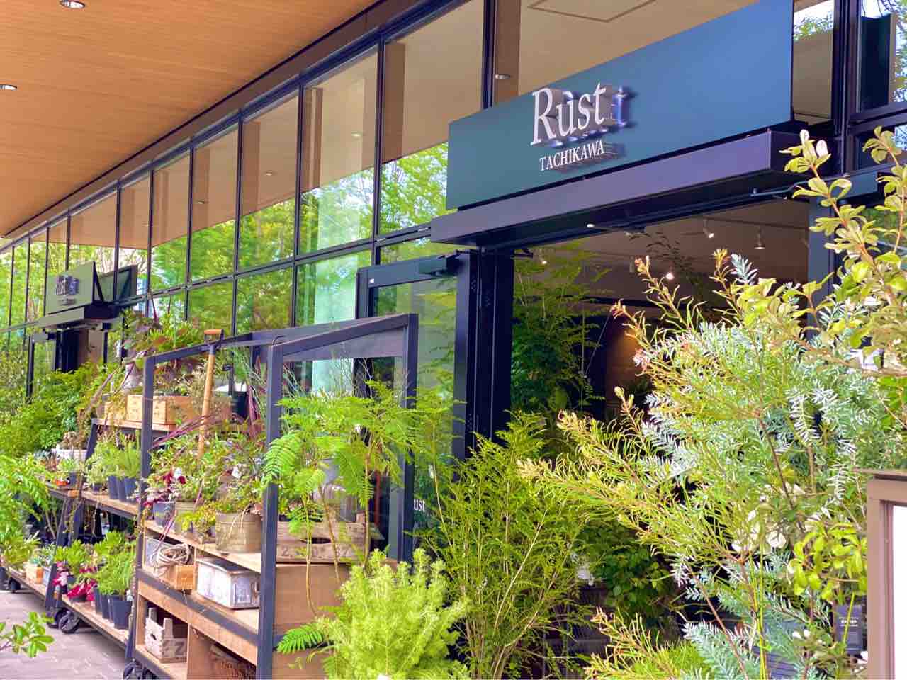 たまには植物 アクアリウム関係ないっす Mobi Aqua