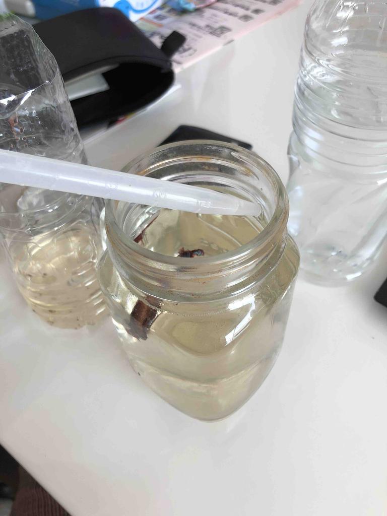 素人ベタリウム ベタの飼育の方法 Mobi Aqua 素人ベタリウム ベタの飼育の方法 Mobi Aqua