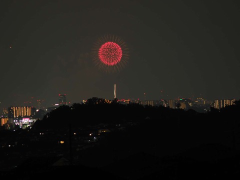 20220827なにわ淀川花火 (165)