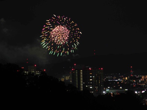 20230917水都くらわんか (17)