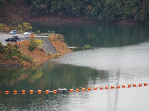 20221123安威川ダム (33)