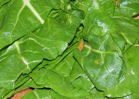 hudanso2