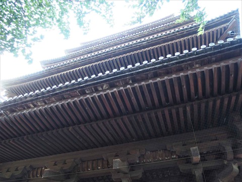 20230616東寺 (29)