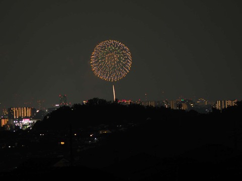 20220827なにわ淀川花火 (163)