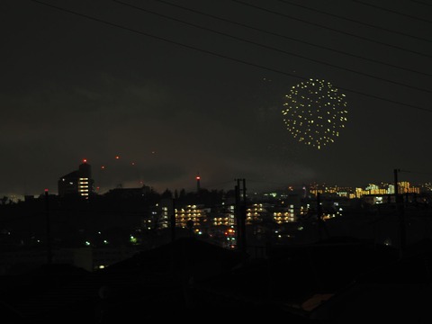 20221126万博花火 (27)