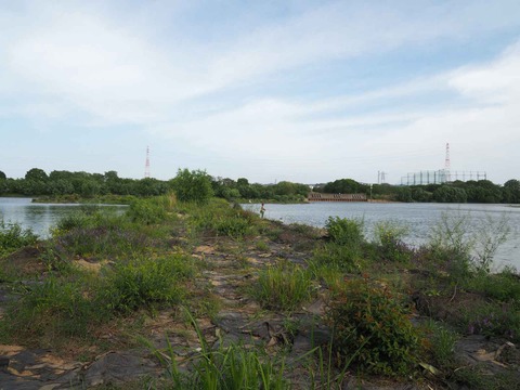 20230504檜尾川突堤 (10)