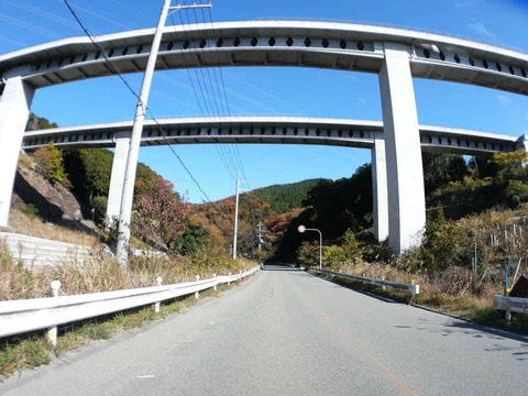 20241207府道6号紅葉 (6)
