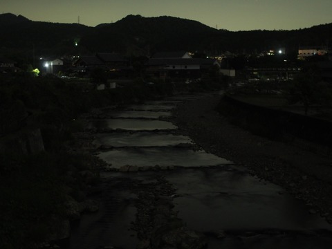 20240517ホタル (4)