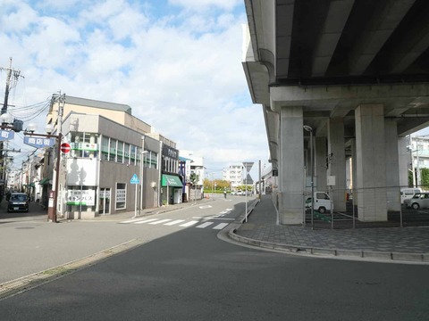 20241104淀城 (22)