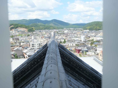 20240818園田城 (81)