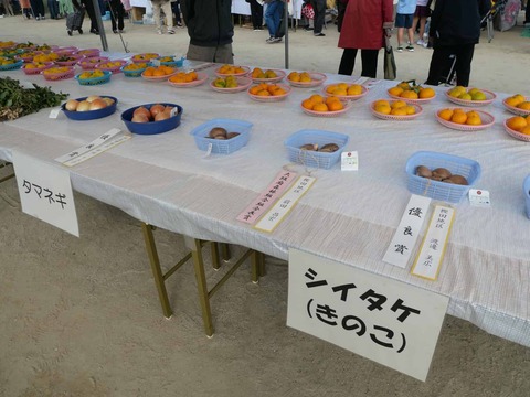 20241117農林業祭 (11)