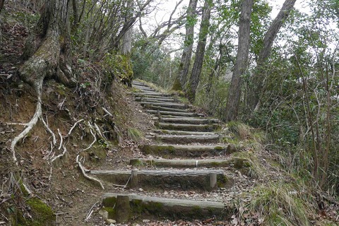 20200707setukyo (25)