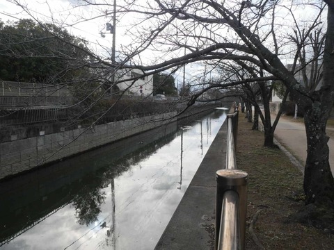 20260128番田カモ (14)