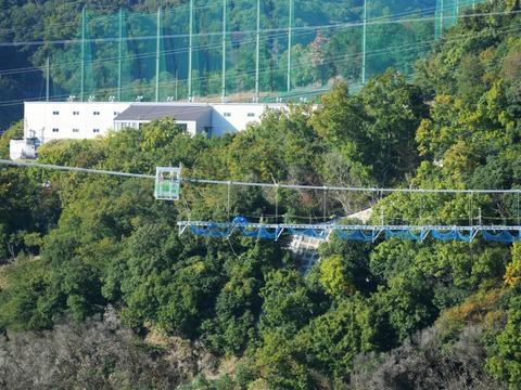 20241113吊り橋 (6)