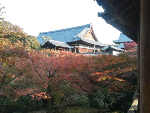 20211120東福寺 (8)