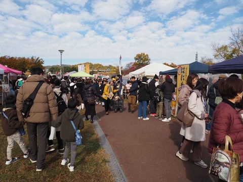 20231126はにコット (69)