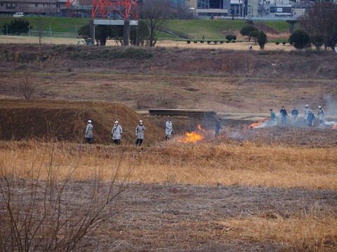 20240218ヨシ焼き (55)
