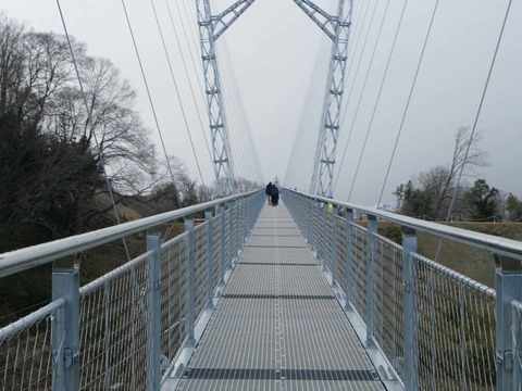 20250317吊り橋 (152)