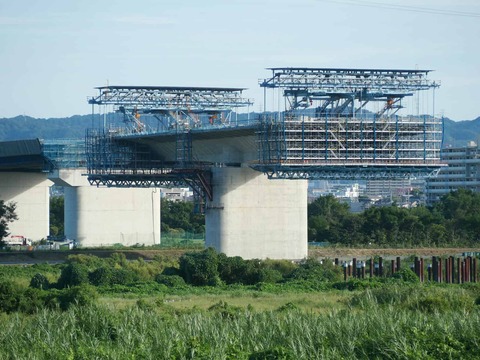 20250927新名神国道堤防 (41)