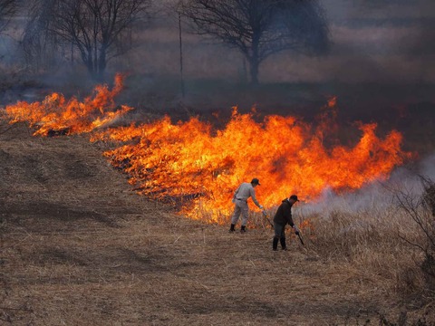 20240218ヨシ焼き (48)