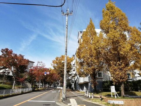 20201101koyo2