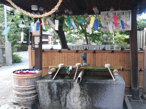 20240730野見神社 (1)
