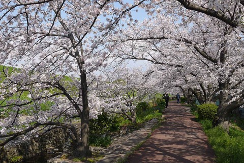 20200404sinkawa20