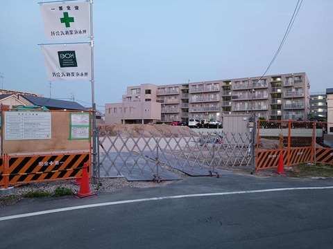 20250519津之江コスモス (1)