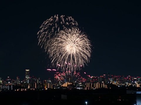 20240808辨天花火 (35)
