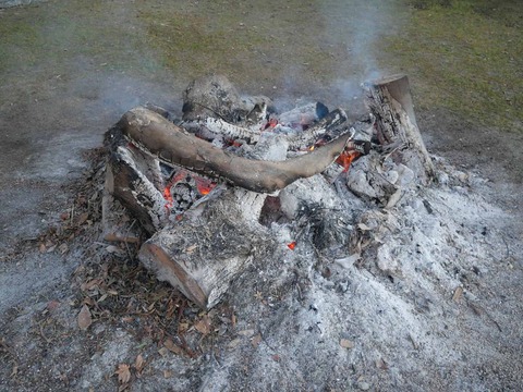 20260101八阪神社 (3)