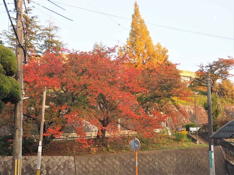 20221103安岡寺小学校