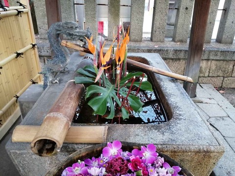 20211120野見神社 (3)