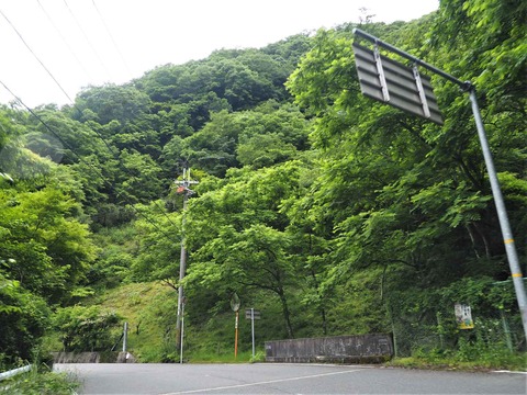 20230610うつぎ (7)